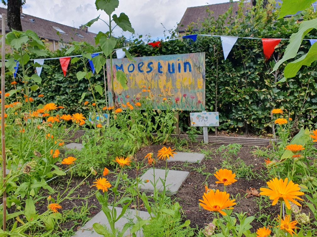 Oogstfeest op schooltuin de Zonnevlecht van bs Pr Maurits